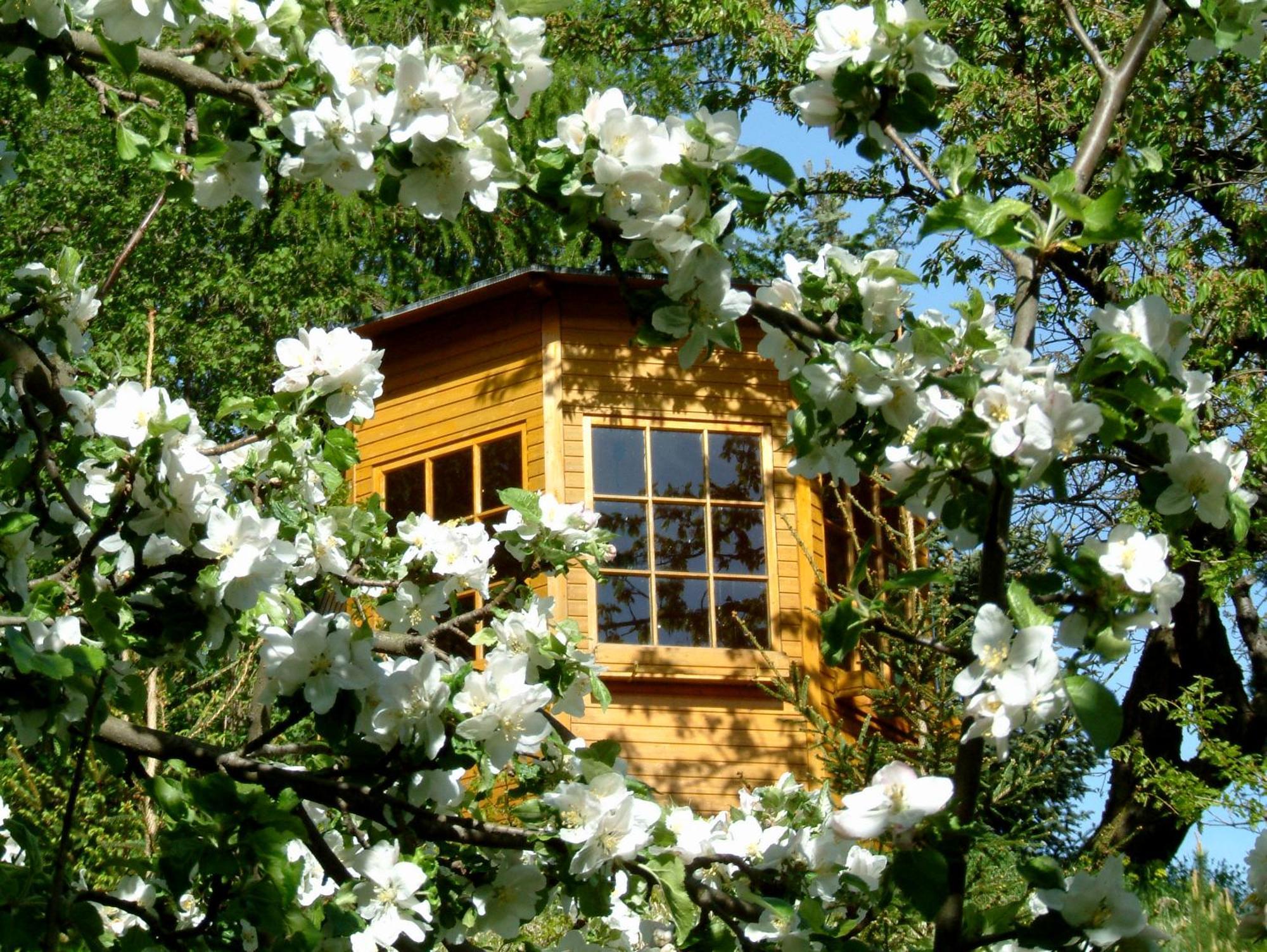 Harzer Feriengarten Кведлинбург Экстерьер фото